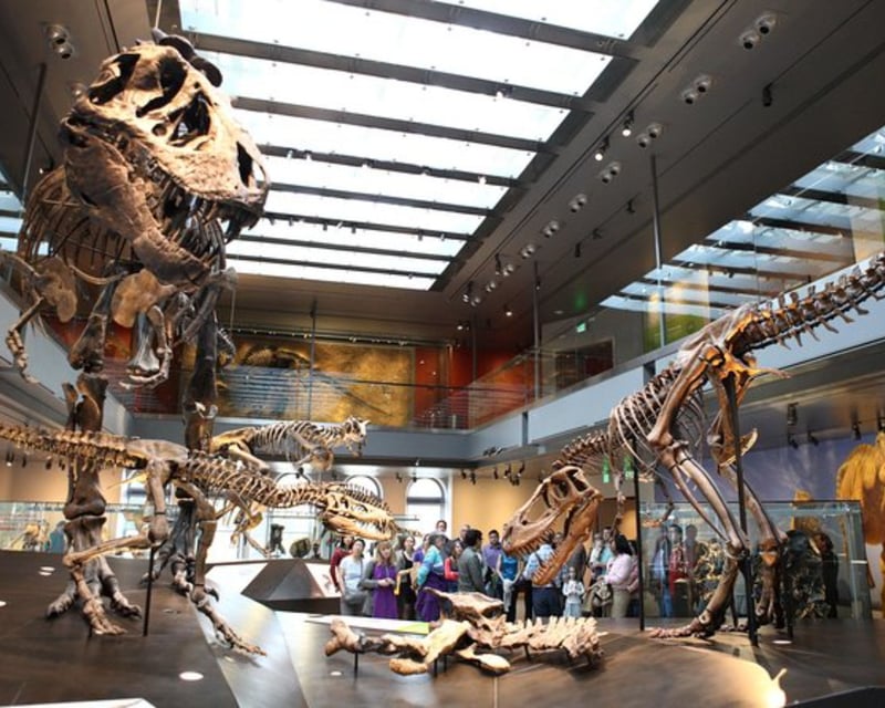 Los Angeles Natural History Museum Ticket & Dinosaur Hall