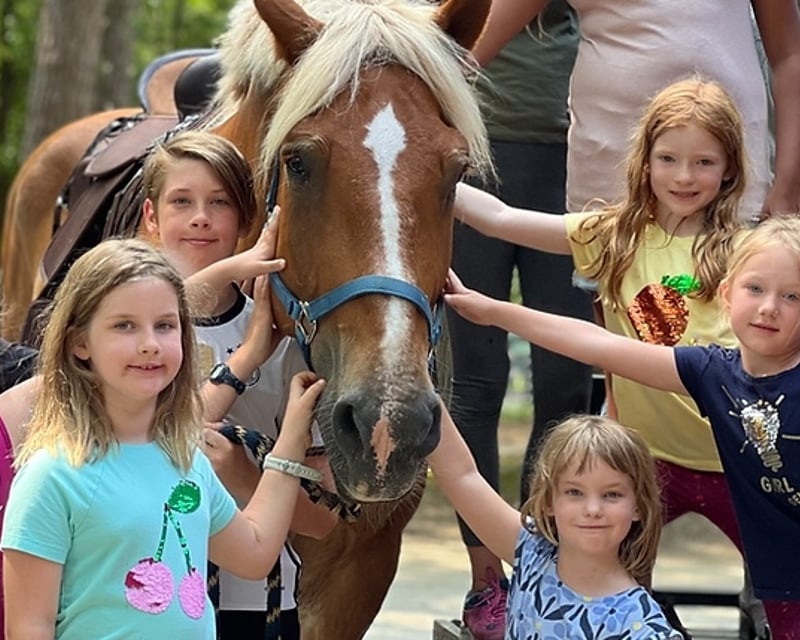 Pony Rides in Snellville