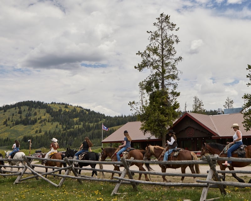 2-Hour Horseback Ride in Bridger-Teton National Forest