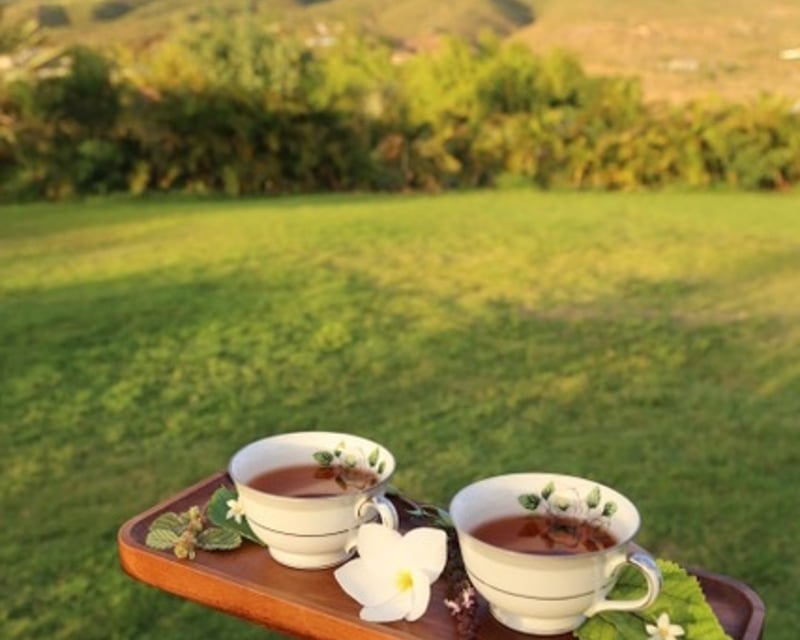 Herbal Tea Tasting Tour in Lahaina