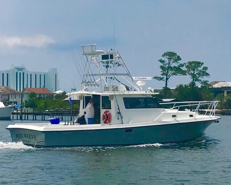 Orange Beach 3- to 8-Hour Fishing Charter
