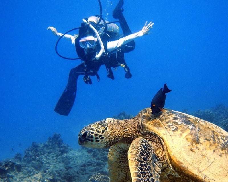Dive a Wreck & Reef 2-Tank Charter in Honolulu