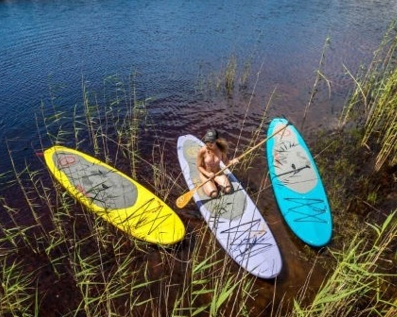 All-Day Paddleboard Rental at Cypress Springs
