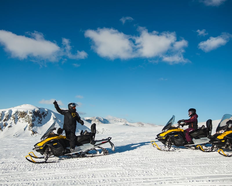 Full-Day Bridger-Teton Snowmobile Tour from Jackson