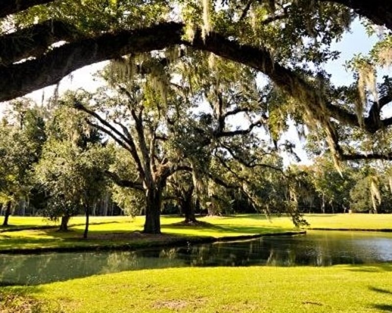 Guided Drayton Hall Grounds & Main House Tour