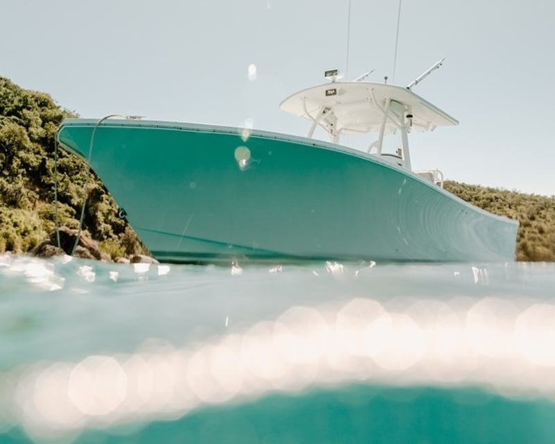 Private Full-Day Snorkel Charter in St. Thomas & St. John