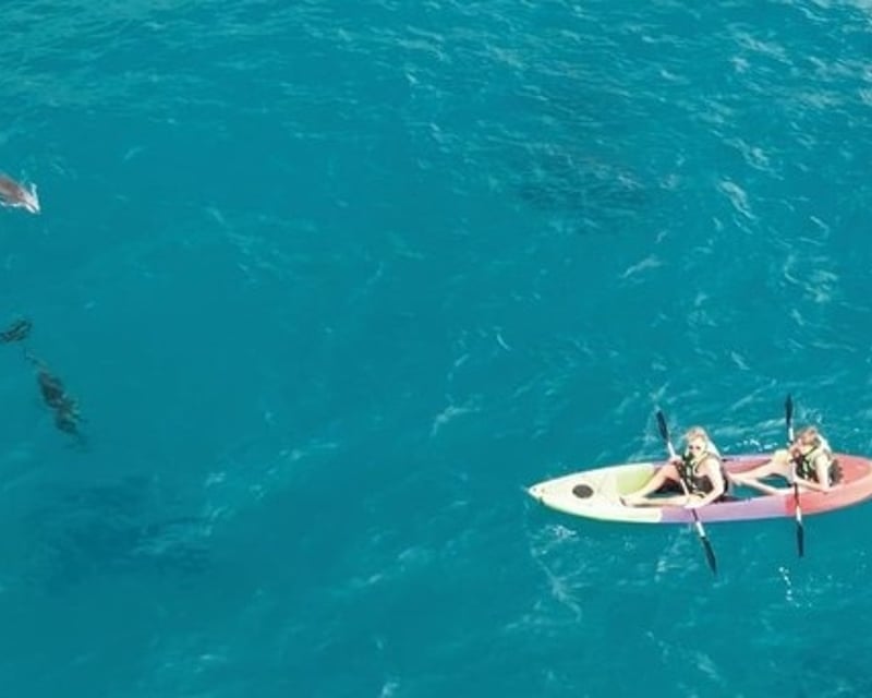 Clear Bottom Kayak Rental in Kailua-Kona