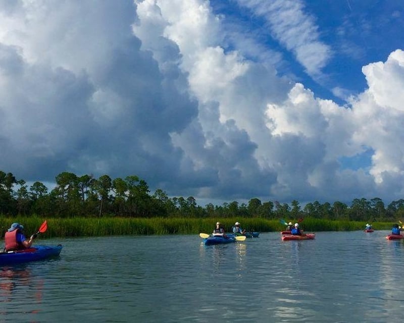 Guided Salt Marsh Ecology Kayak Tour in Beaufort