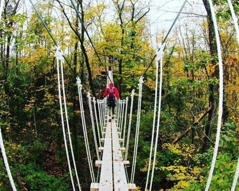 Zipline, Rappel & Challenge Course Combo in Lexington