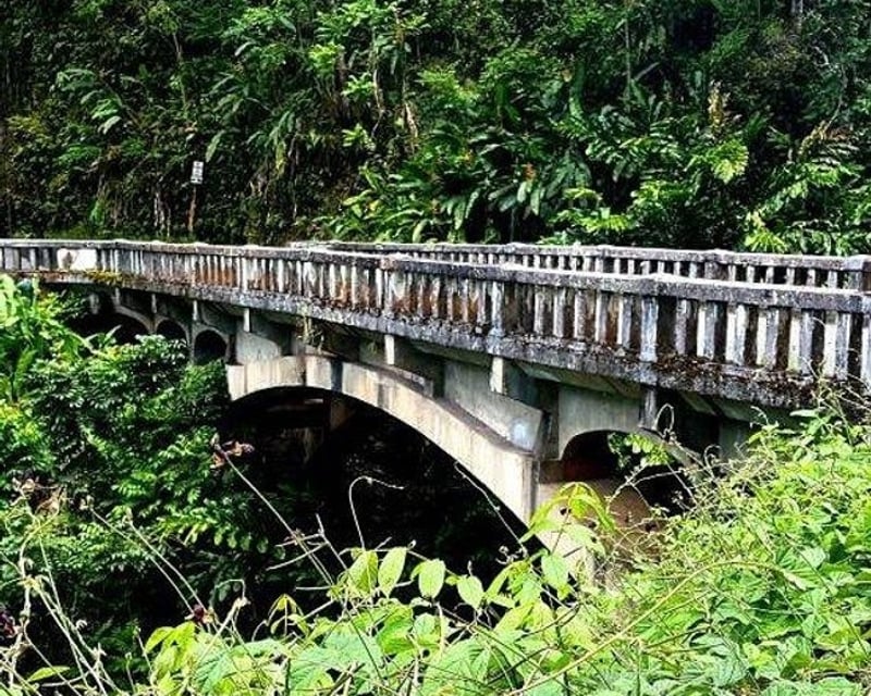 Halfway Road to Hana Guided Tour
