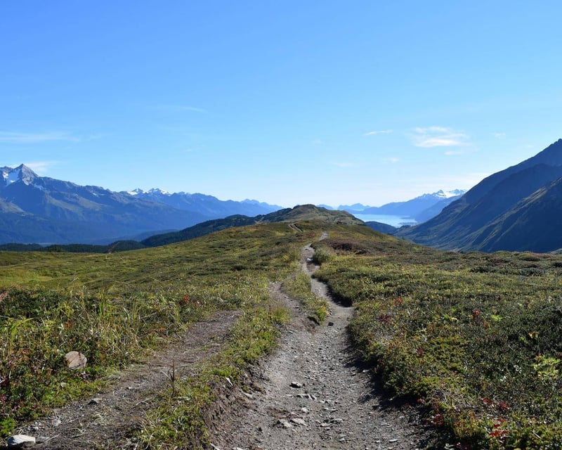 Guided Lost Lake Trail Hike in Seward