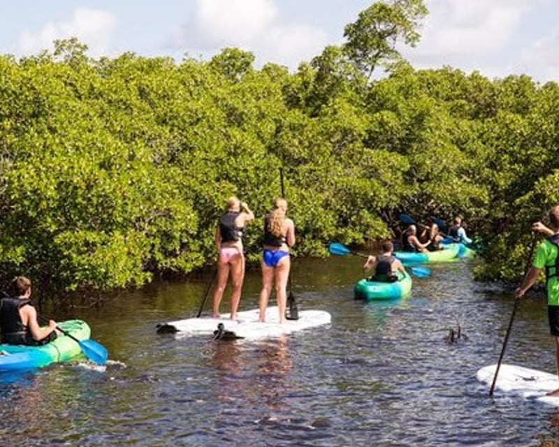 5-Hour Cocohatchee River Kayak & Paddleboard Rental