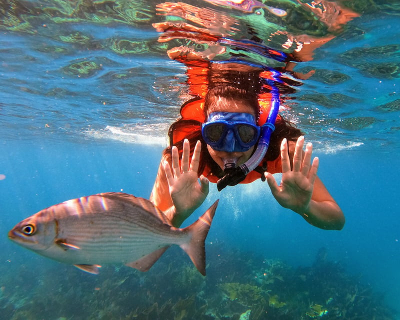 2-Reef Snorkel Tour in John Pennekamp Coral Reef State Park