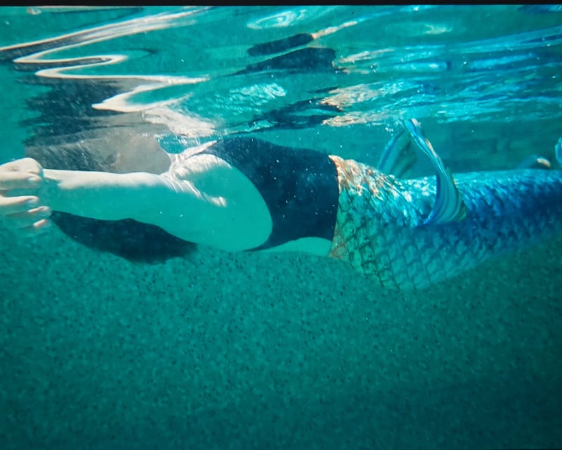 Private Dolphin Swim & Sound Healing in Panama City Beach