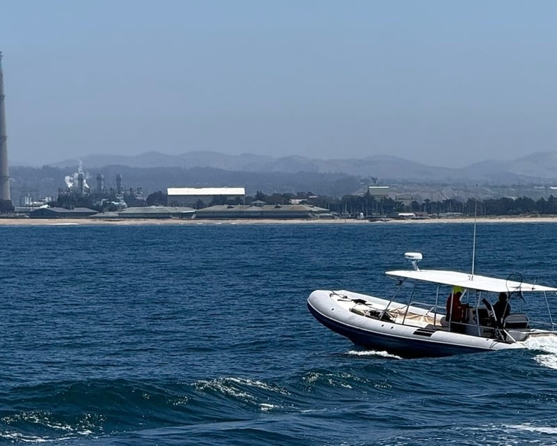 High-Speed Boat Whale Watching in Monterey Bay