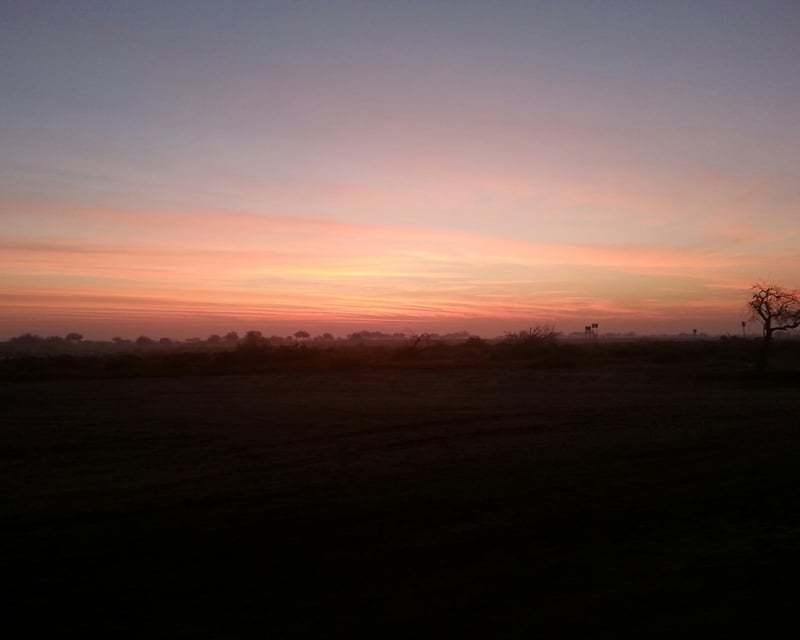 Sunrise Horseback Ride in Chandler