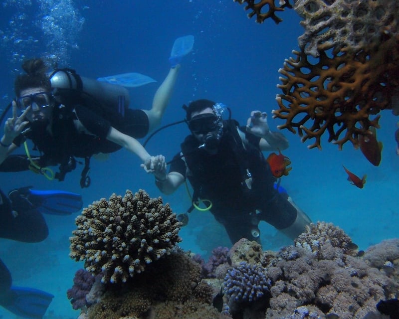 Private Scuba Diving Charter to Icacos Islands from Fajardo