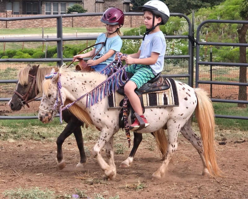 Kids Mini Pony Riding Lesson & Horse Care in Edmond