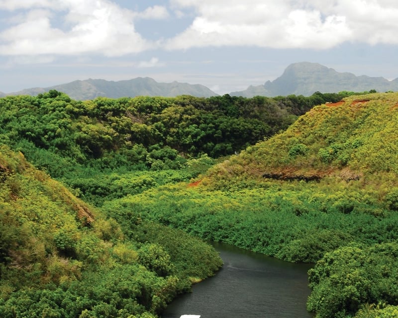 Kauai Waimea Canyon Guided Tour