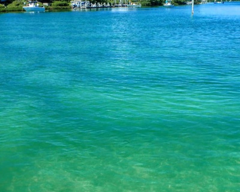 Pine Island 5-Hour Private Charter