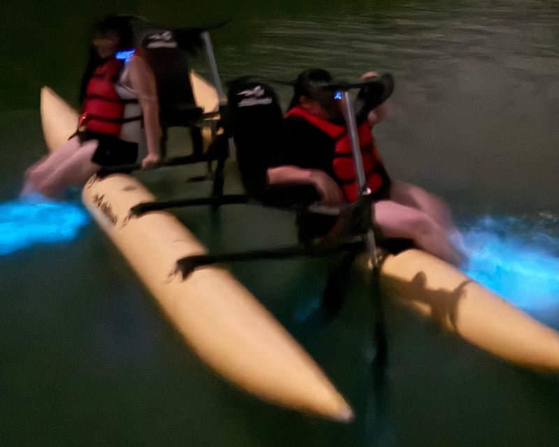 Bioluminescent Bay Water Bike Tour in La Parguera