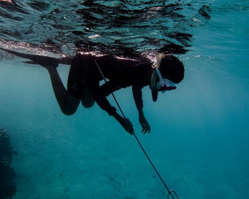 All-Ages Spearfishing Charter in Key West