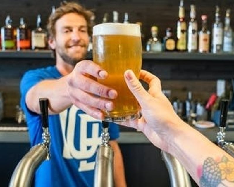 Charlottesville Wine & Brewery Tour