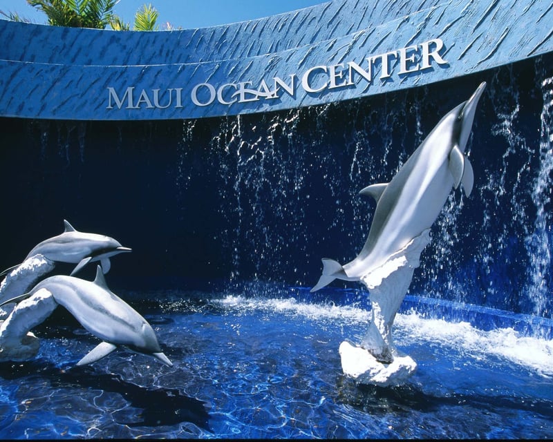 Maui Ocean Center Admission Ticket