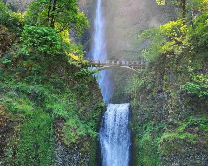 Columbia River Gorge Waterfalls Guided Tour