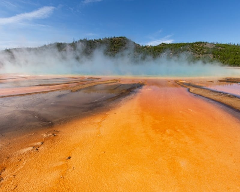 Private Full-Day Yellowstone National Park Tour