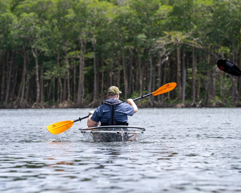 Guided Clear Kayak Tour of Miami Mangrove Tunnels