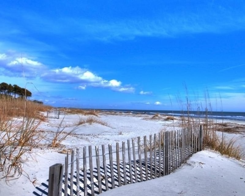 11-Day Bike Rental on Hilton Head Island