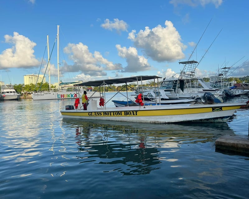 Ocho Rios Glass Bottom Boat, Sea Tubing & Mahogany Beach