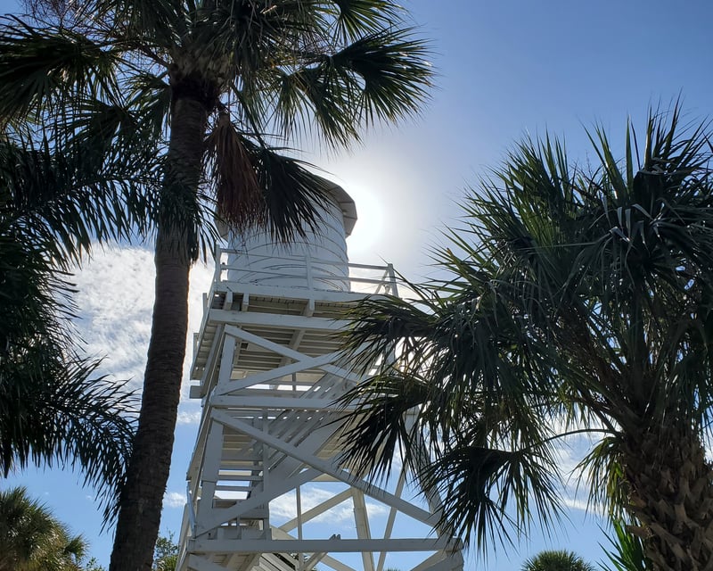 Cruise to Cabbage Key on an 8-Hour Boat Tour