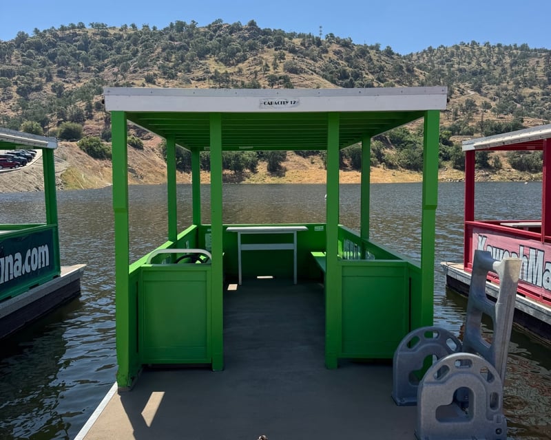 12-Passenger Patio Boat Rental in Lemoncove