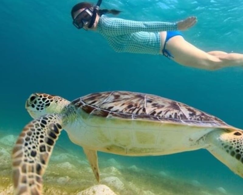 2-Stop Catamaran Snorkel Sail in St. Thomas