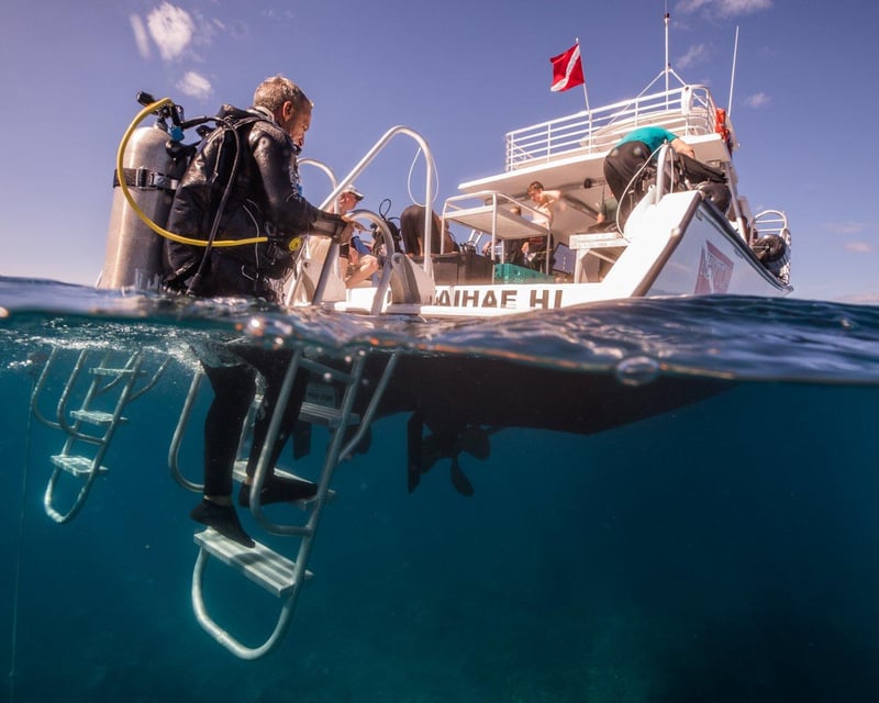 Kohala Coast Two-Site Dive & Snorkel Charter