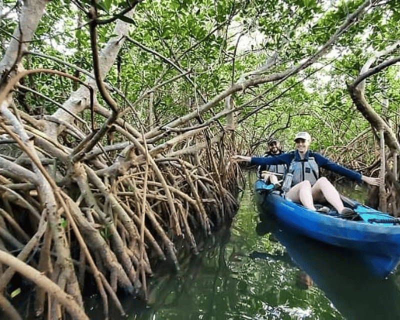 Thousand Islands Mangrove Tunnel Kayak Tour in Cocoa Beach