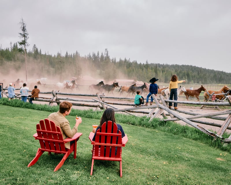 Moran Guided Horseback Ride & Dinner