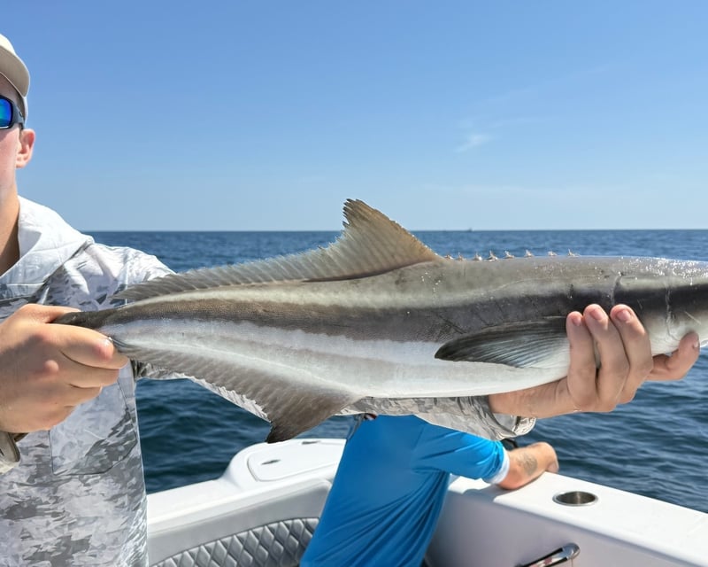 Artificial Reef Fishing Charter in Wilmington Island