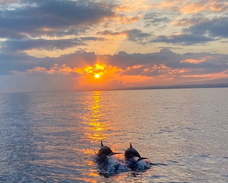 Hilton Head Sunset Dolphin Tour