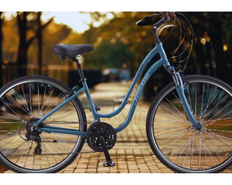 6-Day Single or Tandem Bike Rental in Petoskey