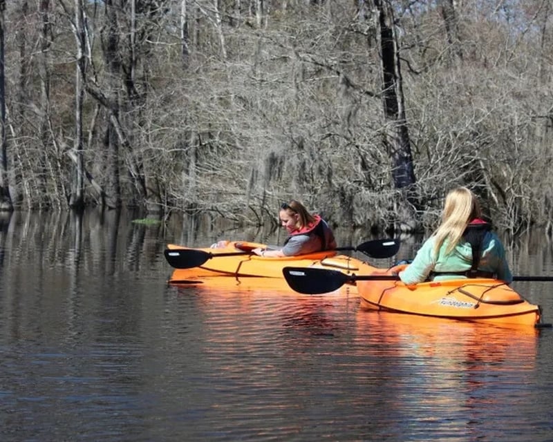 3-Hour Kayak & Canoe Rentals on Ebenezer Creek