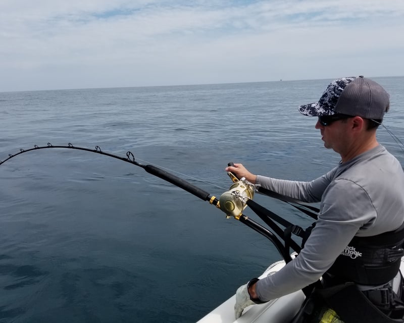 10-Hour Newport Shark Fishing Charter