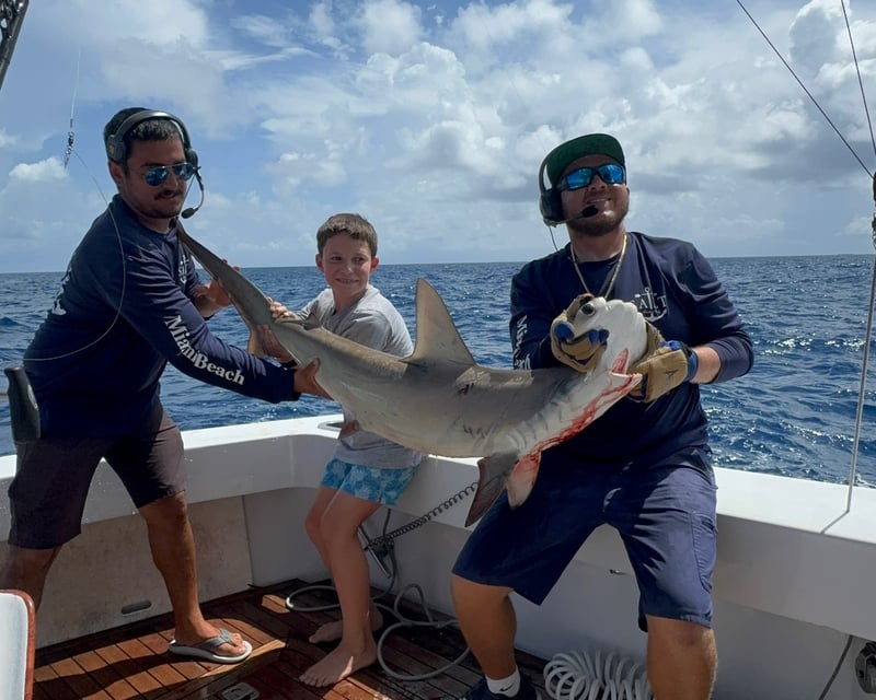 Private Shark Fishing Charter on a 75' Yacht in Miami Beach