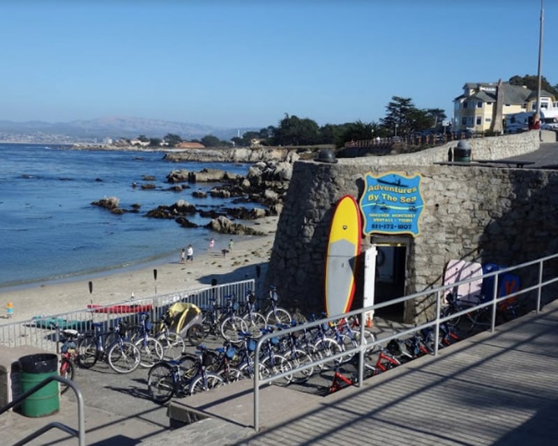 Kelp Forest Snorkel Gear Rental in Pacific Grove