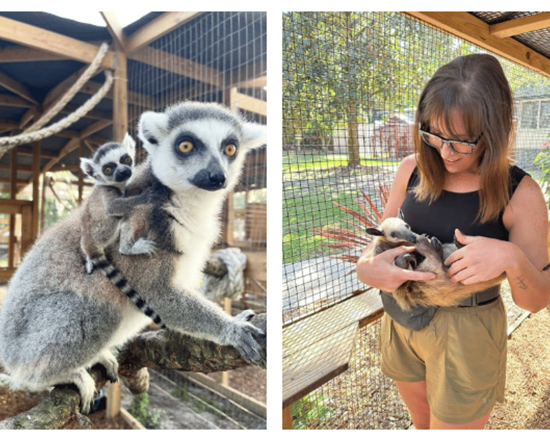 Hands-On Animal Encounter Tour in Riverview