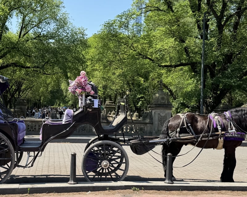 Central Park Horse-Drawn Carriage Tour