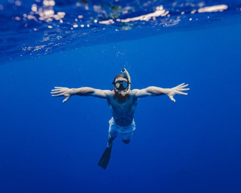 Hilo Reef & Wildlife Snorkel Tour by Boat
