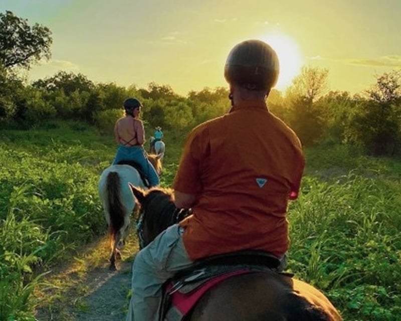 Sunset Guided Horseback Riding Lesson in Austin